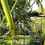 בית נופש La Maison Romanaise Romans-sur-Isère